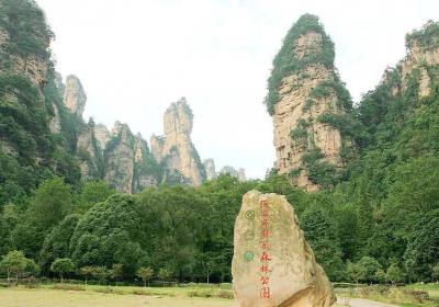 走湘西——張家界、鳳凰古城游記(一)